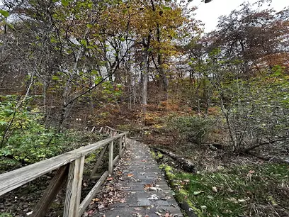 Queen City Trail